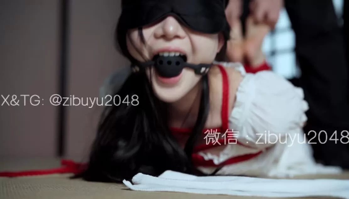 5.webp