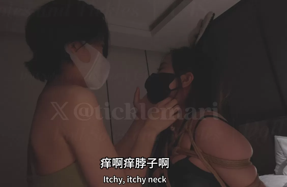 45.webp