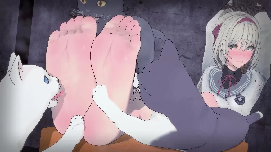 2026-05-06-爱猫者被猫爱-1.webp
